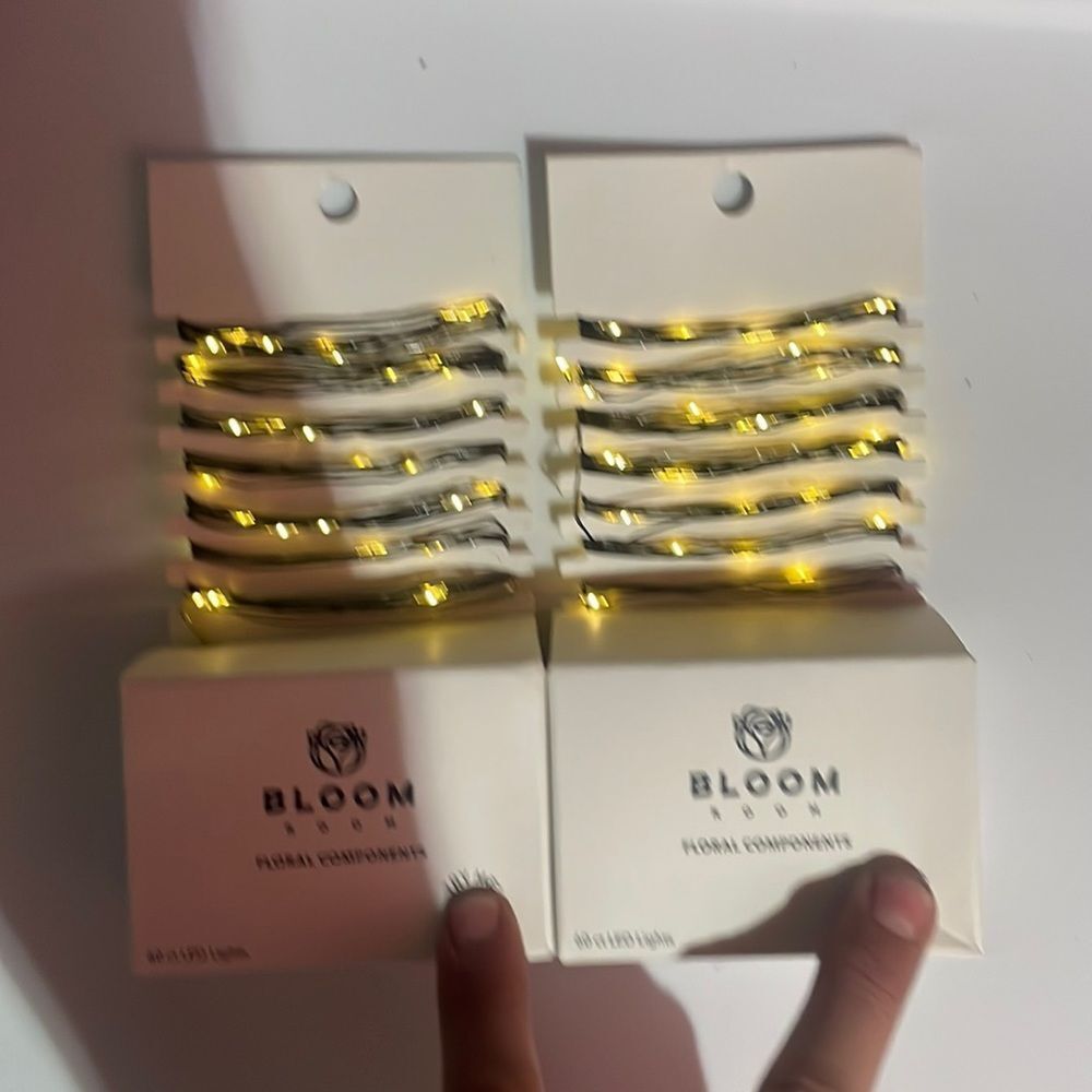 2 x Bloom Room 60 ct LED Mini Black Wire with Warm White String Lights